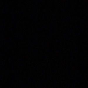 Meet your Posher, Bree